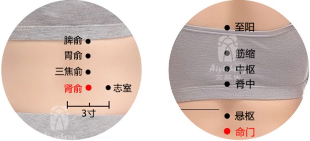 Aiyisheng Acupuncture Points Chart.jpg