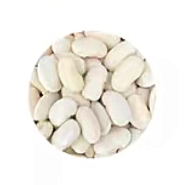 White kidney bean.jpg