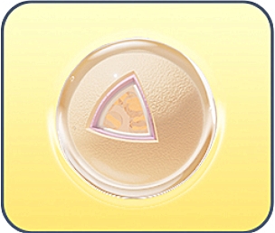 Three - layer embedding patented technology.jpg