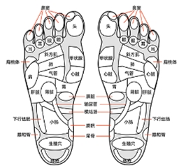 human visceral reflection areas_副本.jpg