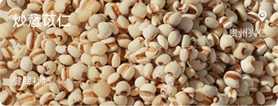 Stir-fried Coix Seed.jpg