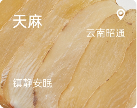 Gastrodia elata.jpg