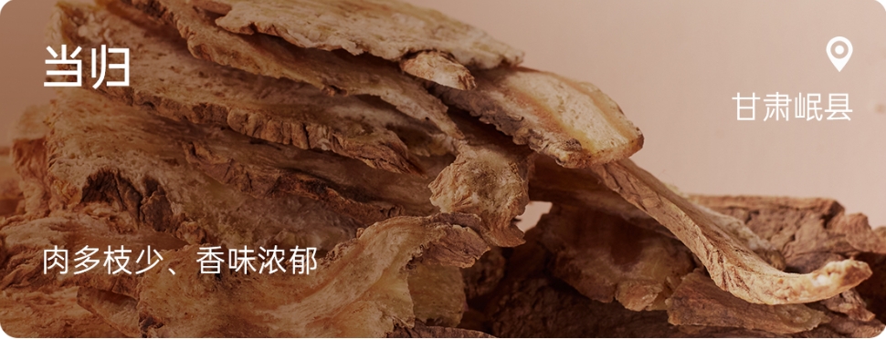 Chinese Angelica.jpg