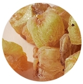 5555.jpg