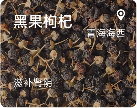 Black Wolfberry.jpg
