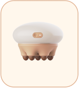 Bian Stone Meridian Brush.jpg