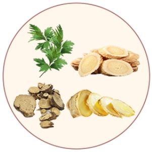 5 4 AiYiSheng Sanfu Herbal Sticker.jpg