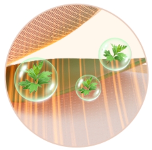 4 AiYiSheng Essential Oil Moxa Heat Sticker.jpg