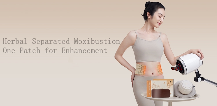 1 AiYiSheng Separated Moxibustion Herbal Patch.jpg