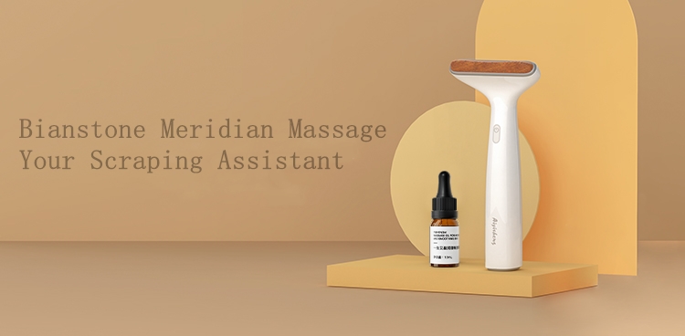 2 AiYiSheng Stone Needle Meridians Massage Appliance.jpg