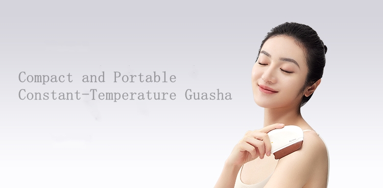 AiYiSheng Stone Needle Portable Massage Plate-2nd Gen.jpg