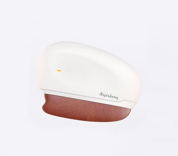 1 AiYiSheng Stone Needle Portable Massage Plate-2nd Gen.jpg