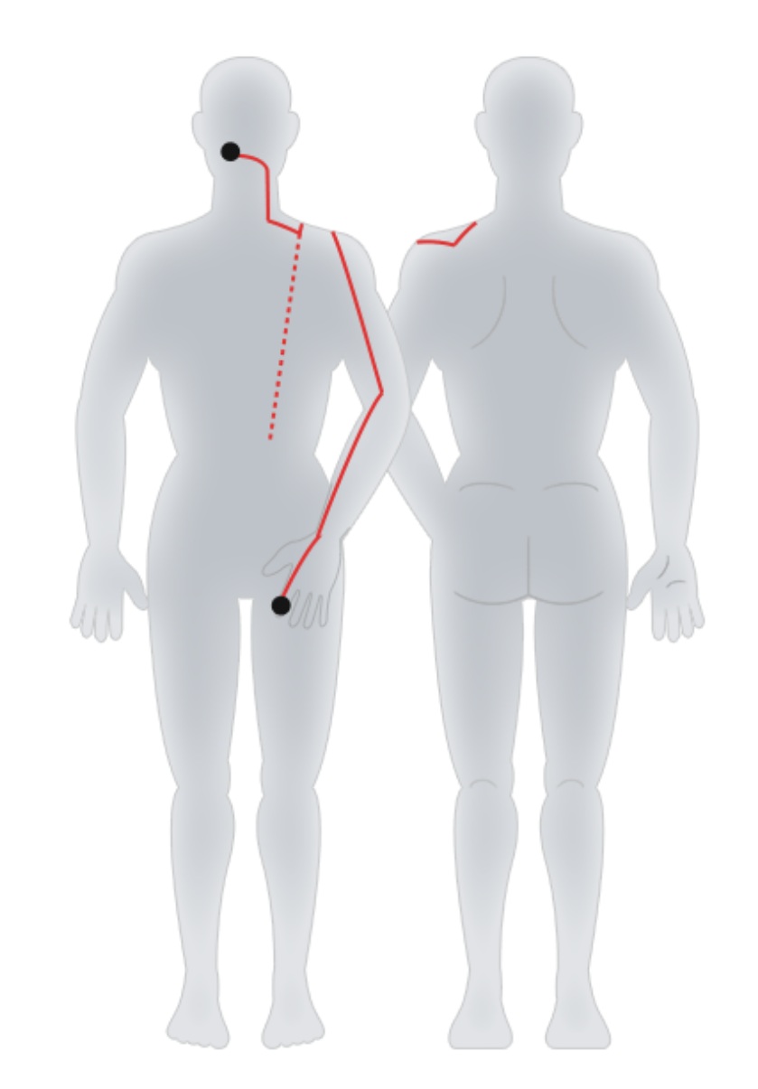 Hand Yangming Large Intestine Meridian.jpg