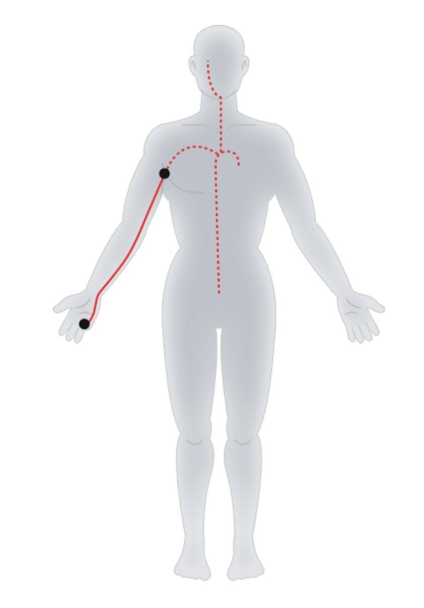 Hand - Taiyang Small Intestine Meridian.jpg Hand - Taiyang Small Intestine Meridian.jpg