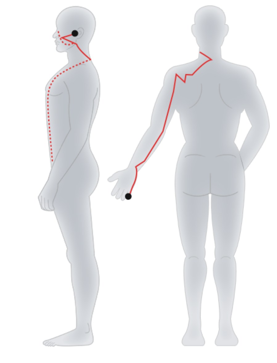 Hand-Taiyang Small Intestine Meridian.jpg Hand-Taiyang Small Intestine Meridian.jpg