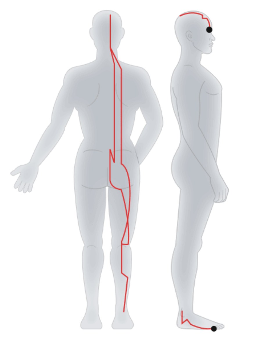 Foot - Taiyang Bladder Meridian .jpg Foot - Taiyang Bladder Meridian .jpg