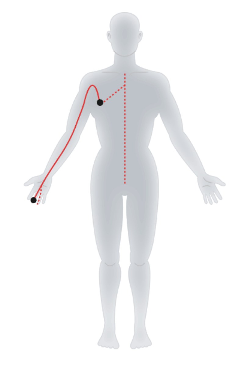 Hand - Jueyin Pericardium Meridian.jpg