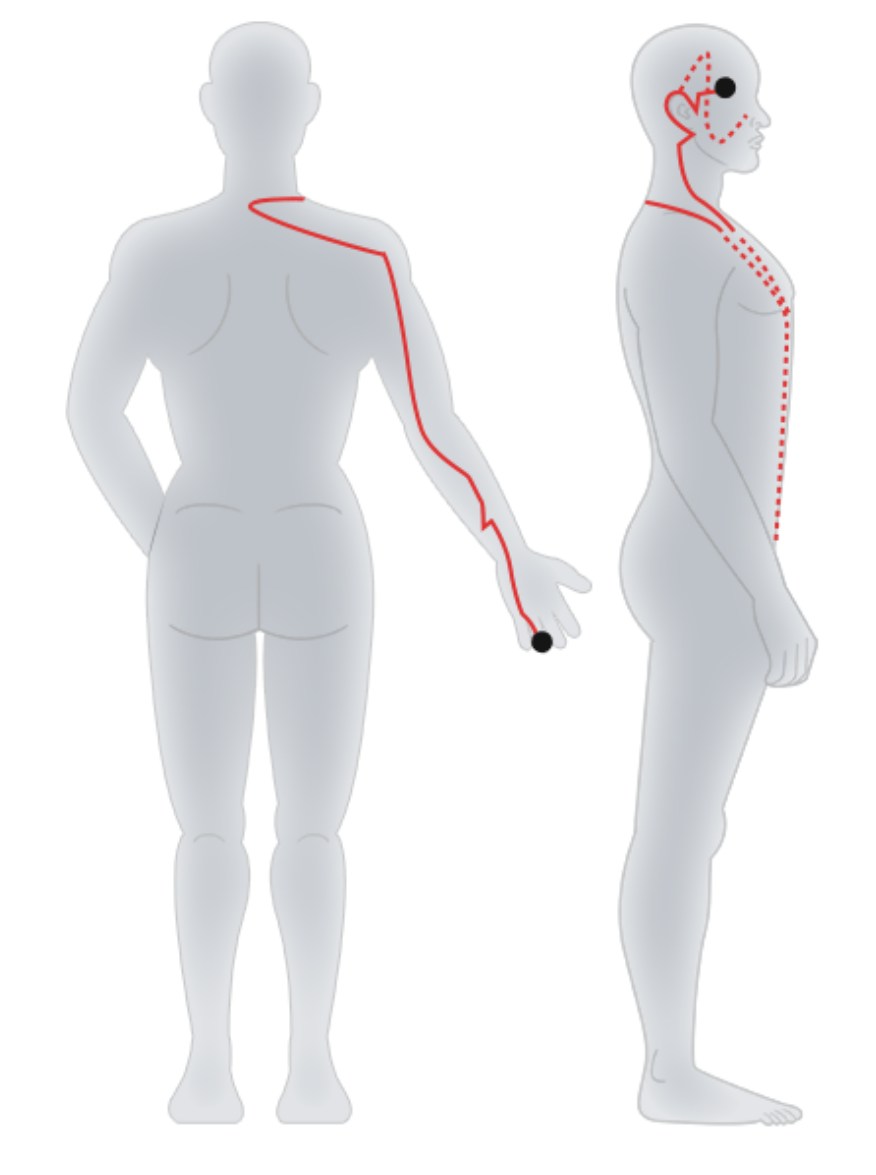 Hand-Shaoyang Sanjiao Meridian.jpg