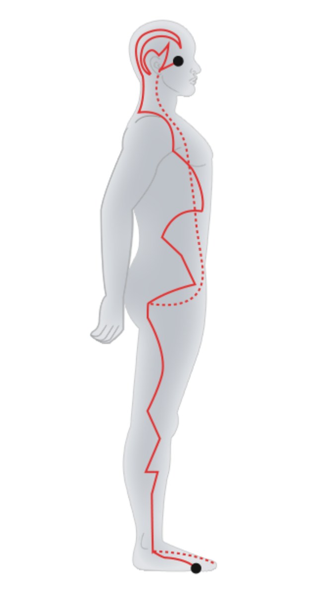 Foot-Shaoyang Gallbladder Meridian.jpg Foot-Shaoyang Gallbladder Meridian.jpg