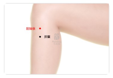 Yanglingquan Point .jpg Yanglingquan Point .jpg