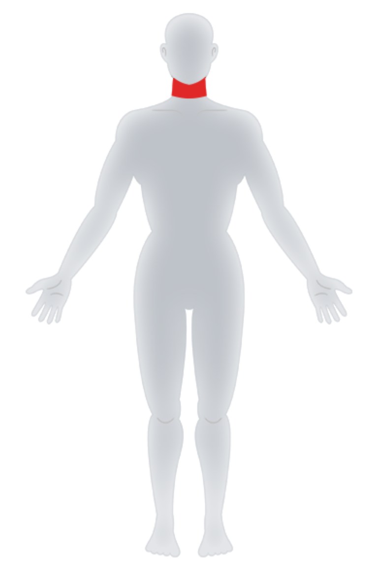 Cervical Acupoints.jpg