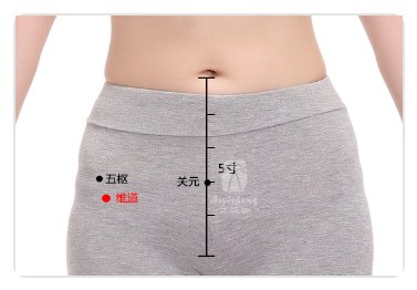 Weidao Point.jpg