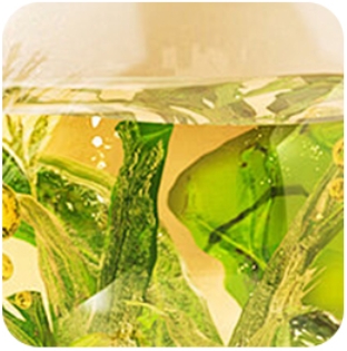 DHA algal oil.jpg