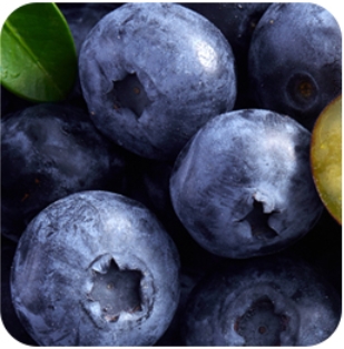 Blueberries.jpg