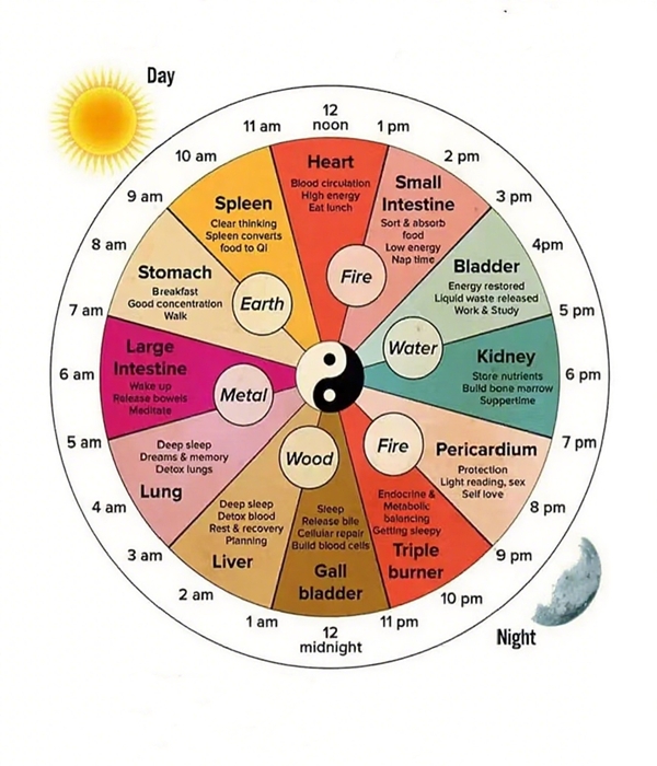TCM Five Elements