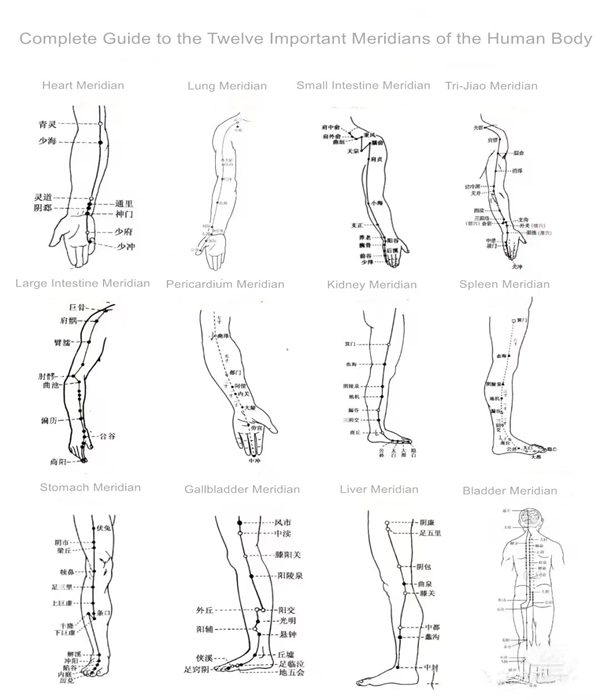 Hand Taiyin Lung Meridian & Hand Yangming Large Intestine Meridian